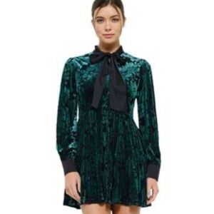 INA Green Velvet Burnout Puff Sleeve Front Bow Tie Mini Holiday Dress Sz M